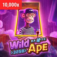 Hiểu rõ luật chơi và tỷ lệ cược tại Sun Casino