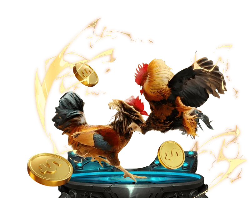 Đăng ký và Xác minh tài khoản tại sun casino